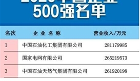 德胜集团继续入围中国企业500强榜单