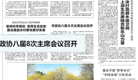 乐山日报3月23日报道：《推动“做钢铁”向“做材料”转变，德胜钒钛——转型升级迈向高端》