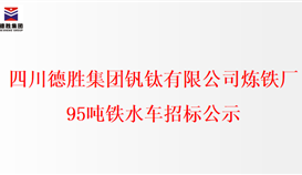 四川德胜集团钒钛有限公司炼铁厂95吨铁水车招标公示