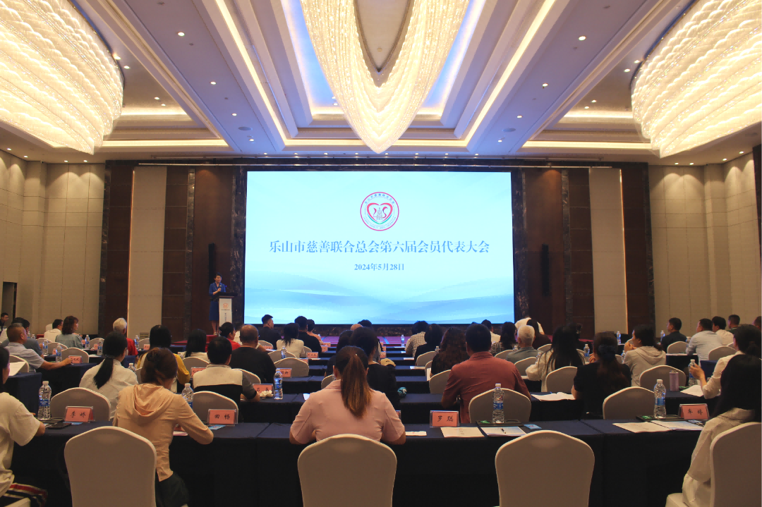 乐山市慈善联合总会第六届会员代表大会现场(1)