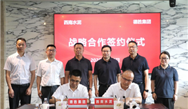 德胜集团与西南水泥有限公司签署战略合作协议